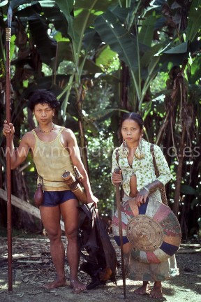 Esta joven pareja acababa de llegar después de un día de trabajo en su huerto en la selva. El chico había aprovechado para cazar un murciégalo de la fruta con su cerbatana. Iría a la cazuela. El sombrero que lleva su mujer en la mano es el típico de los dayak.
