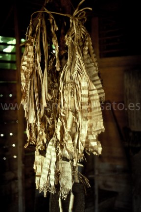 Este manojo de hojas contenía tres cabezas humanas, una reliquia de tiempos pasados cuando la toma de cabezas enemigas era señal de valentía y de proeza. Los cilindros de bambú eran para ofrendas de sangre animal. Cuando hacía frío se encendía un fuego debajo de las cabezas para que los espíritus que habitaban en ellas no se enfadasen.