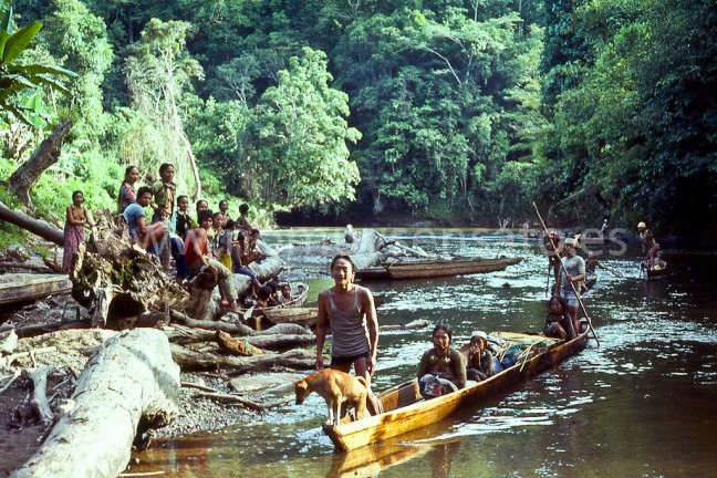 Llegando a otra casa comunal. Habían oído hablar de mí pero era la primera vez que me veían. Al igual que en casi todas las casas comunales, la gente aquí tenía gran curiosidad por saberlo todo sobre 'el mundo más allá de las montañas'. Pasé muchas horas contestando a sus preguntas y escuchando mientras me contaban sus preocupaciones y sus aspiraciones.