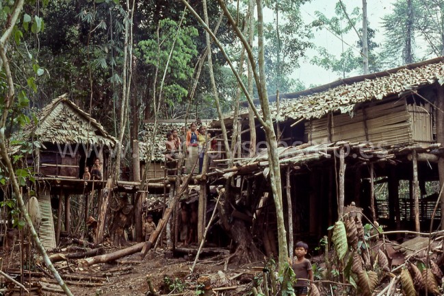 Un asentamiento temporal levantado por un par de familias cuyos huertos quedaban demasiado alejados de la casa comunal para hacer el viaje de ida y vuelta en el día. Aquí tuvo lugar un incidente curioso que arrojó mucha luz sobre uno de los asuntos más misteriosos que se me presentaron durante mi estancia con los punan.